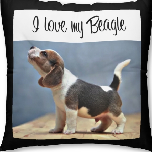 I love my Beagle floor pillow - Picture 2 of 2